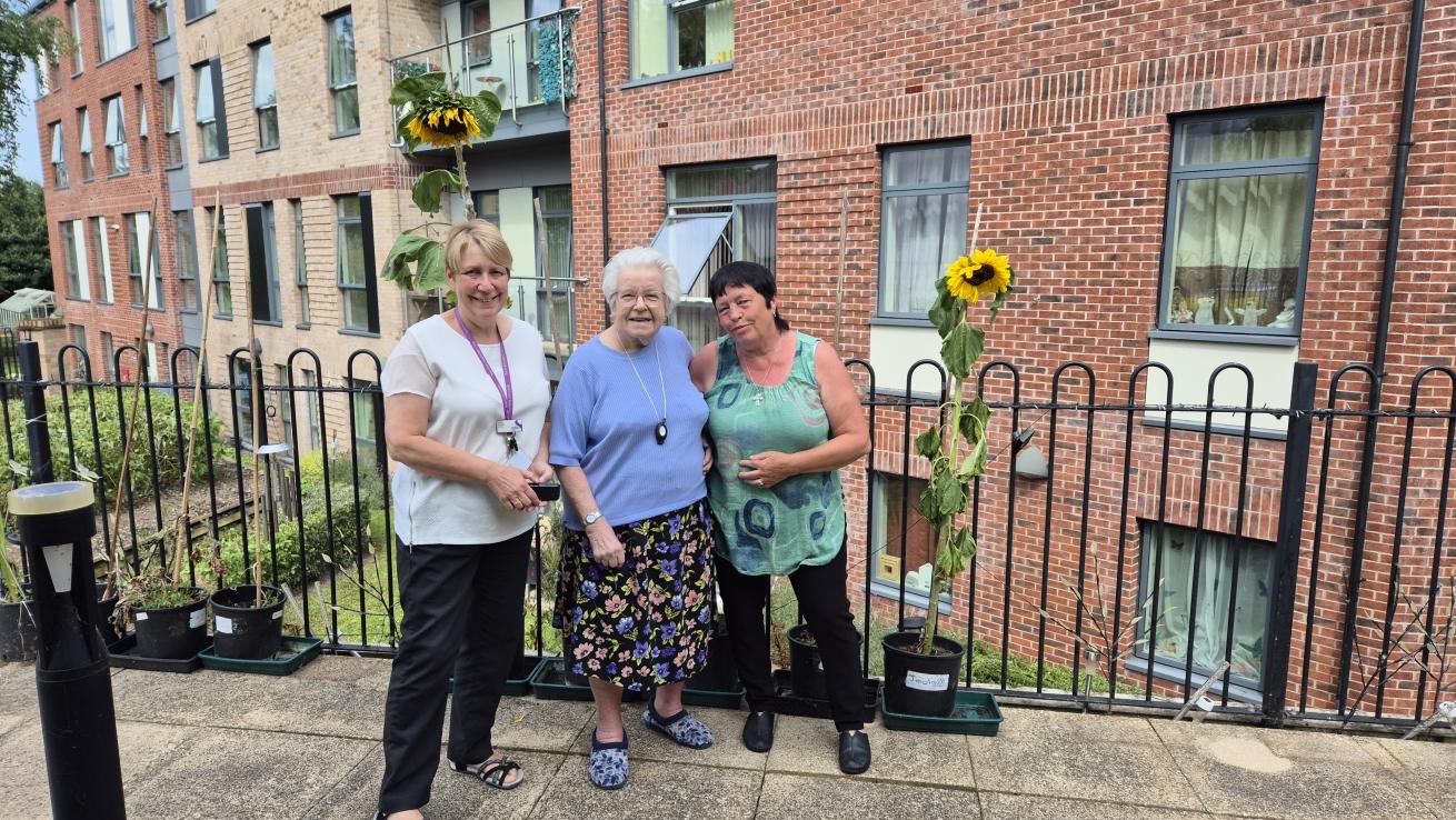 Three women standing on a patio at Rose Manor, proudly displaying two tall sunflowers in pots beside them. The women, including resident Kath Knox (centre), are smiling, with the red-brick exterior of Rose Manor and windows of the building visible in the background.